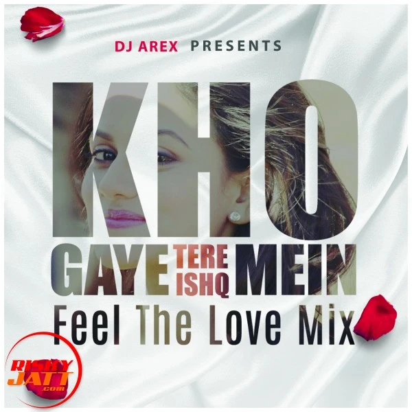 Download Kho Gaye (feel The Love Mix) - Dj Arex by Dj Arex mp3 song
