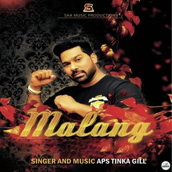 Download Malang by APS Tinka Gill mp3 song
