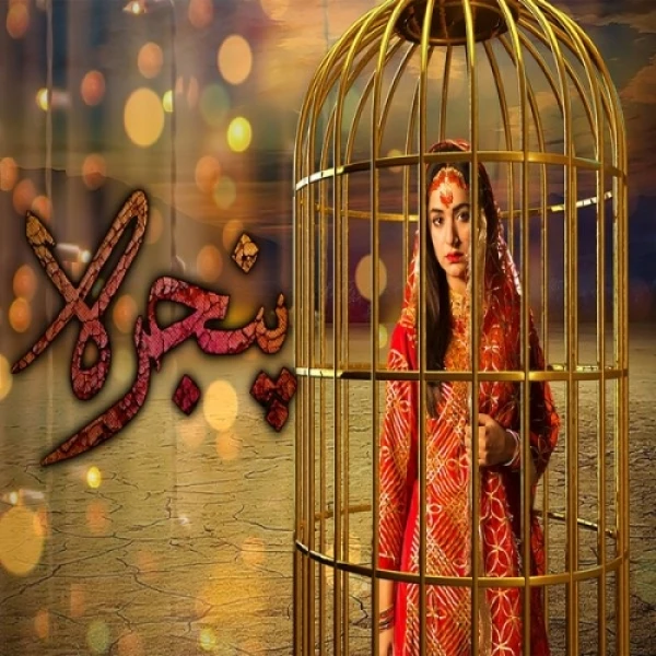 Download Pinjra by Rahat Fateh Ali Khan and Noraan Laal top mp3 song