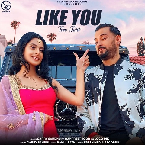 Download Like U by Garry Sandhu top 100 mp3 song