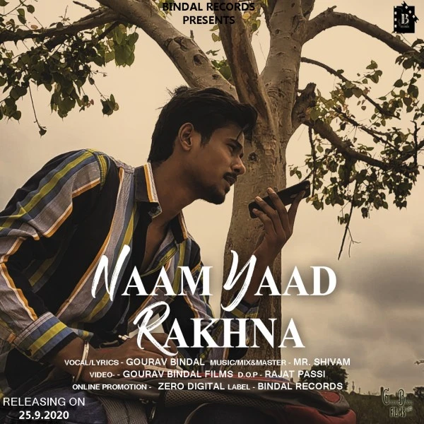 Download Naam Yaad Rakhna Lyrics by Gourav Bindal mp3 song