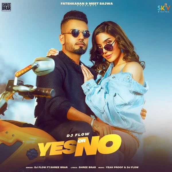 Download Yes or No by DJ Flow and Shree Brar top 100 mp3 song