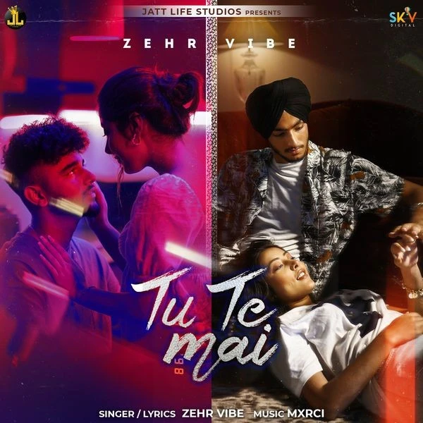 Download Tu Te Mai by Zehr Vibe mp3 song