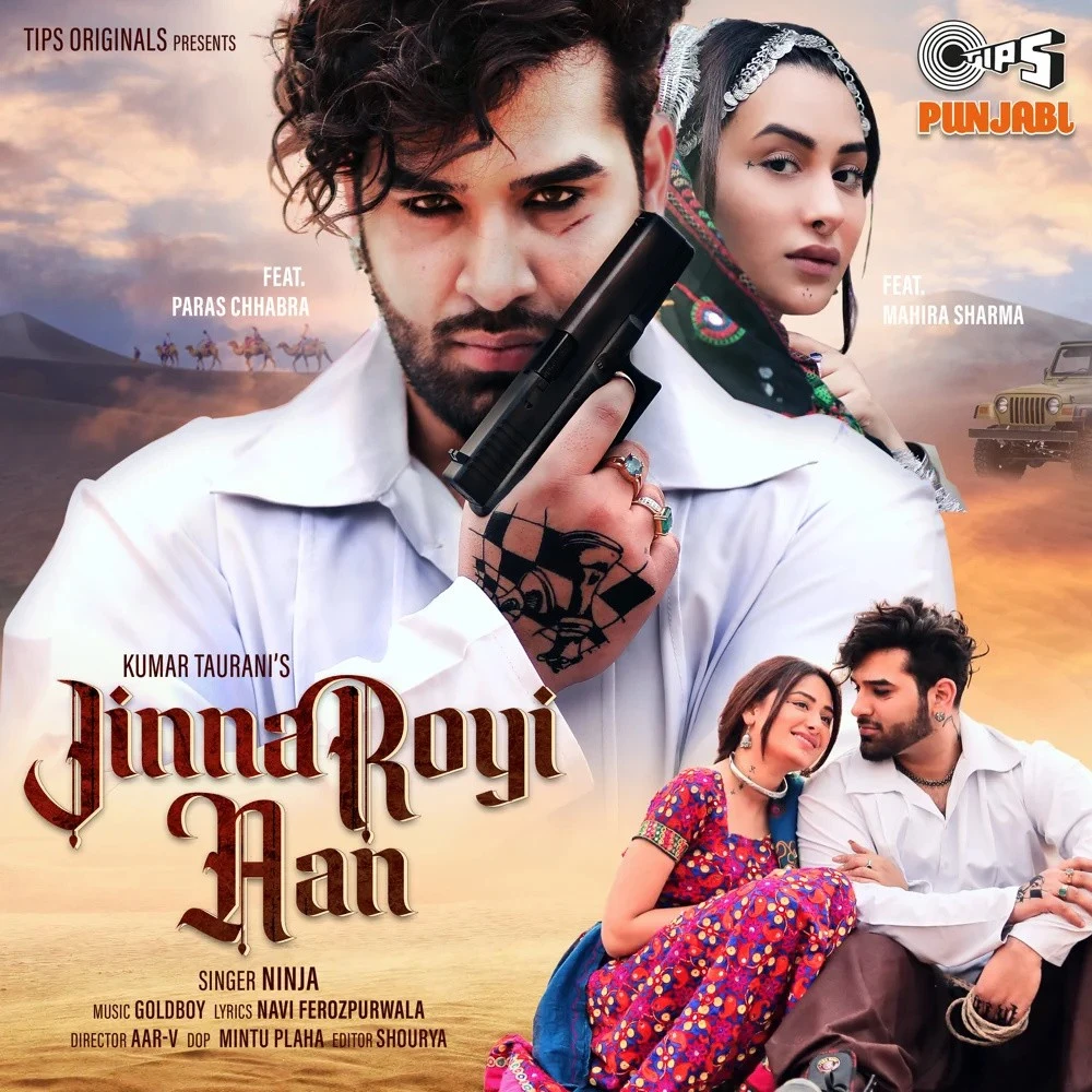 Download Jinna Royi Aan by Ninja top 100 mp3 song