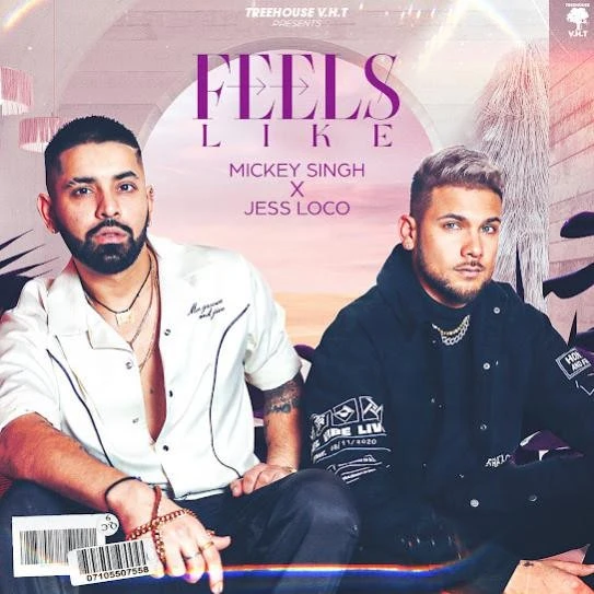 Download Feels Like by Mickey Singh top 100 mp3 song