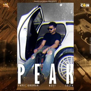 Download Peak Lyrics by Pavii Ghuman mp3 song