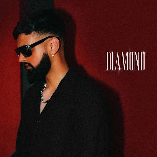 Download Diamond Lyrics by Ricki Dhindsa mp3 song
