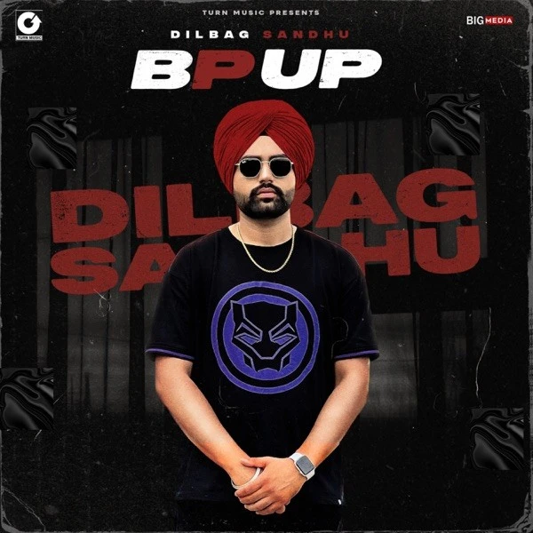 Download Bp Up Lyrics by Dilbag Sandhu mp3 song