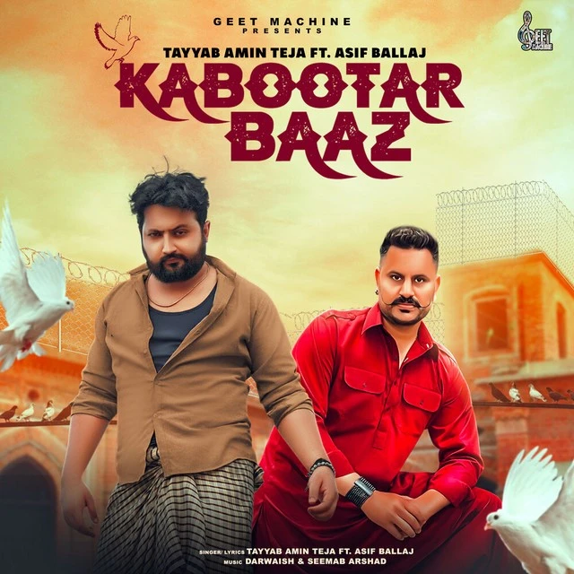 Download Kabootar Baaz Lyrics by Tayyab Amin Teja mp3 song
