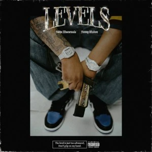 Download Levels Lyrics by Sidhu Moose Wala mp3 song