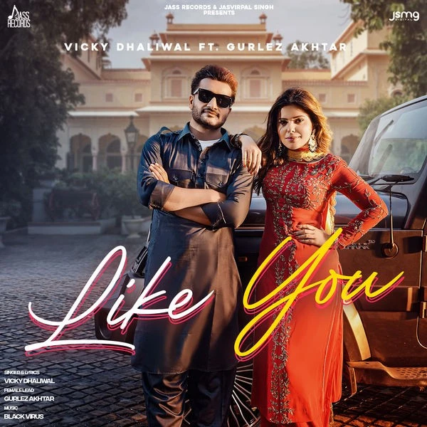 Download Like You by Vicky Dhaliwal top 100 mp3 song