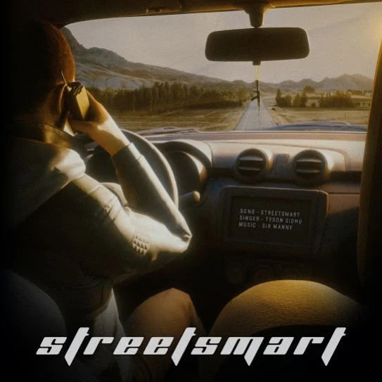 Download Street Smart by Tyson Sidhu mp3 song