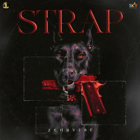 Download STRAP by Zehr Vibe mp3 song
