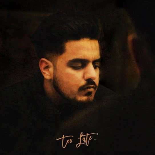 Download Too Late by Robyn Sandhu mp3 song