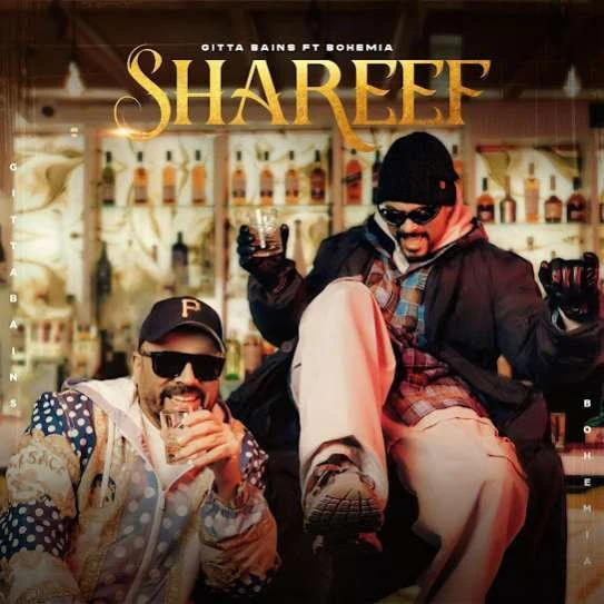 Download Shareef by Gitta Bains top 100 mp3 song