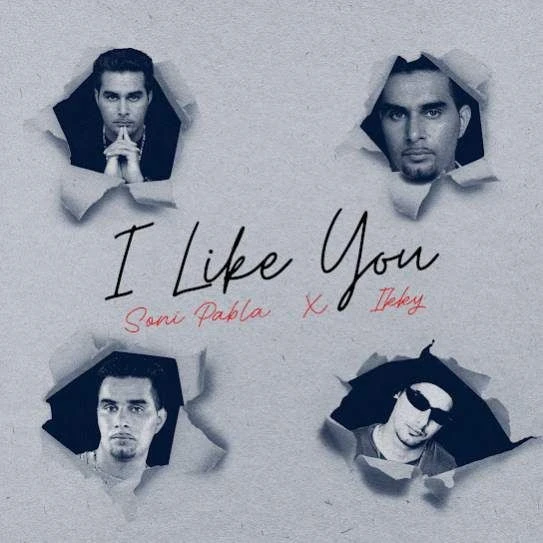 Download I Like You by Soni Pabla top 100 mp3 song