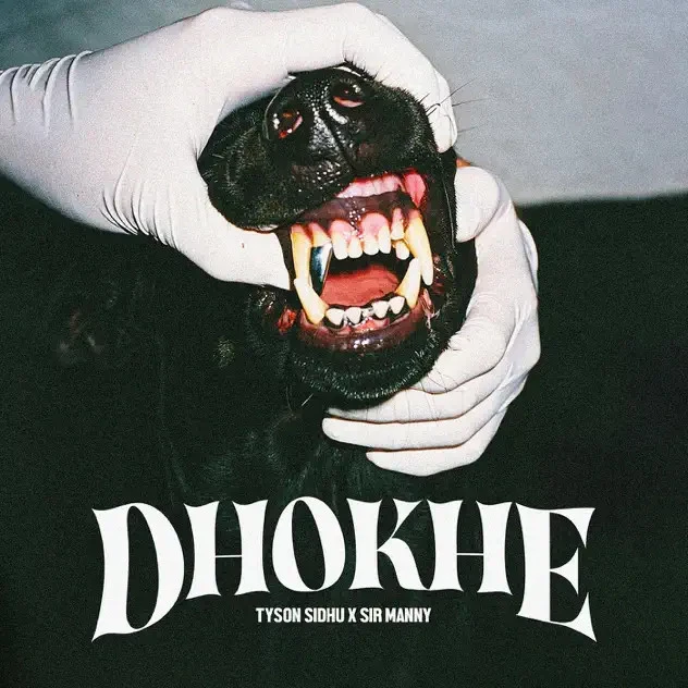 Download Dhokhe by Tyson Sidhu mp3 song