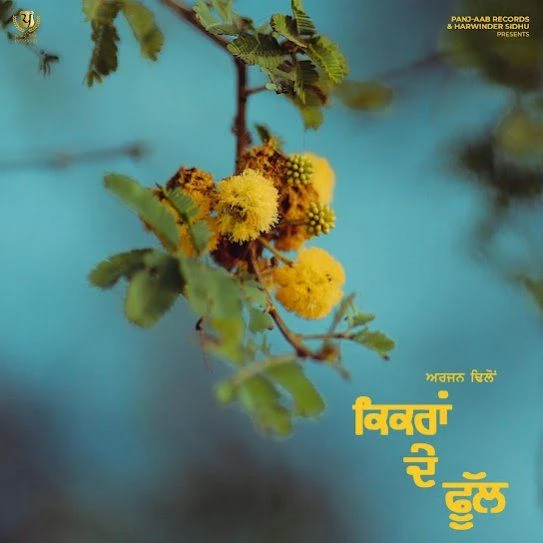 Download Kikran De Phull by Arjan Dhillon top 100 mp3 song