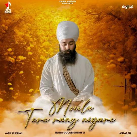 Download Moula Tere Rang Niyare by Baba Gulab Singh Ji top 100 mp3 song