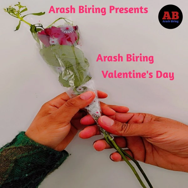 Download Valentine's Day by Arash Biring top 50 mp3 song