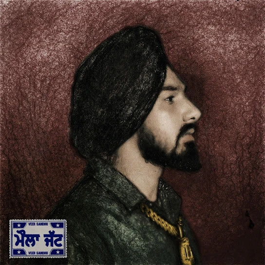 Download Multiply by Veer Sandhu top 100 mp3 song