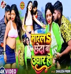 Download Marala Chheda Ba Ughar Ho by Shailesh Premi top 100 mp3 song