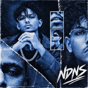 Ndns song cover by Manav Gill, Ndns album mp3