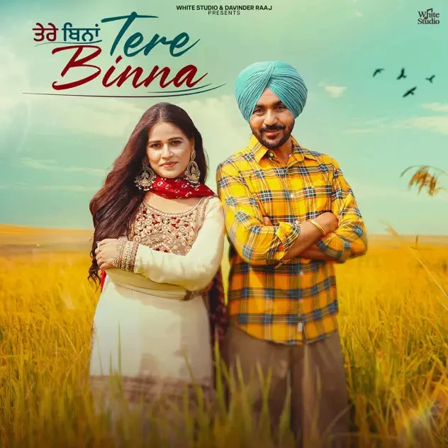Tere Binna Song Download by Gurvinder Brar, Sudesh Kumari